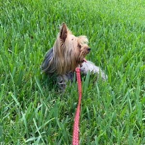 Meet your Posher, Annielys